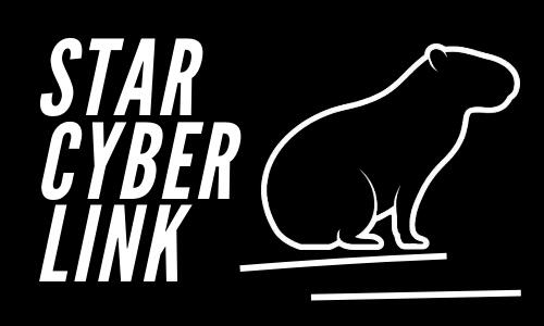 Logo StarCyberLink